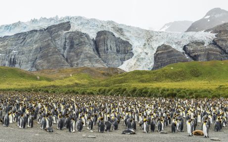 Îles Falkland, Géorgie du Sud et Antarctique